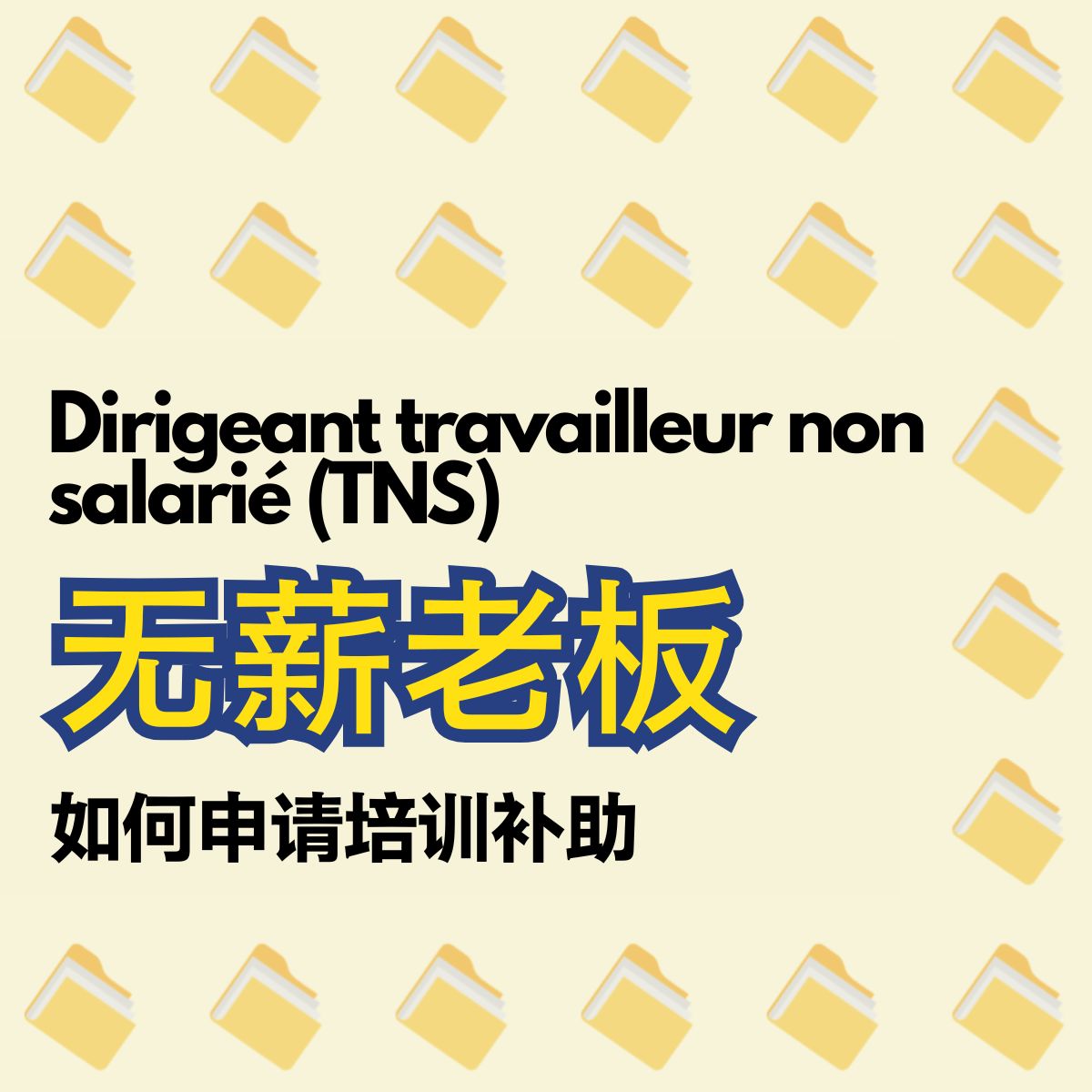 法国“无薪”老板必看：如何申请高达 3000 € 的职业培训补助？